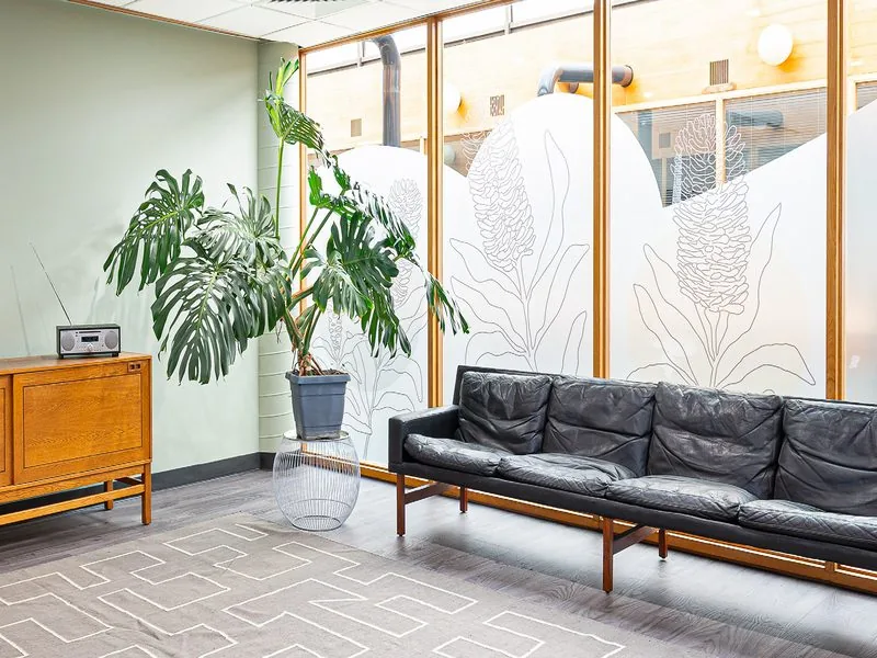 The waiting lounge at OneBodyMind, Rose Park, with a leather sofa, plants and frosted botanical windows